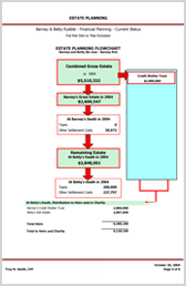 Estate Planning Flow Chart Template